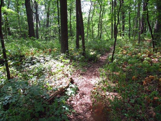 Lakewood Nature Area