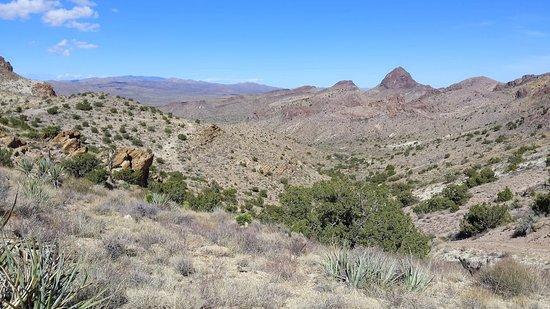 Castle Mountains National Monument