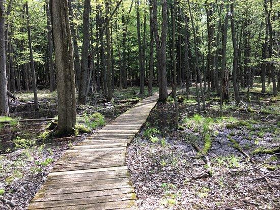 Upper Canada Migratory Bird Sanctuary