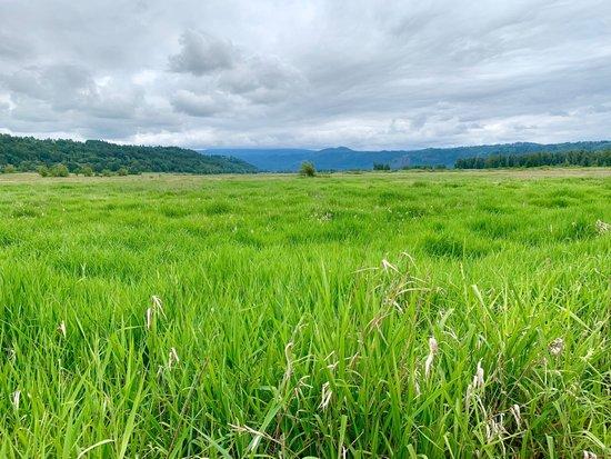 Steigerwald Lake National Wildlife Refuge