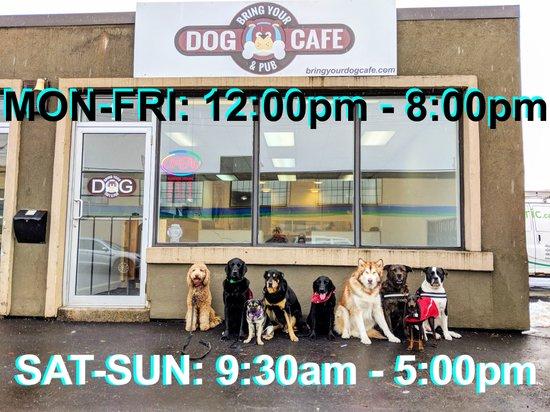 Bring Your Dog Cafe & Pub