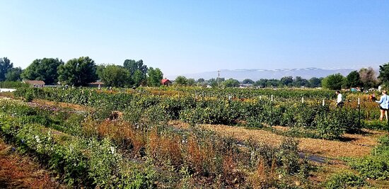 Garden Sweet Farm