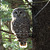 Photo of MaineMountainOwl