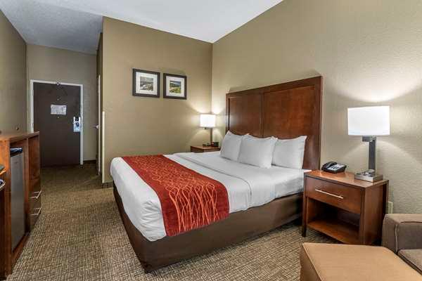 Comfort Inn South