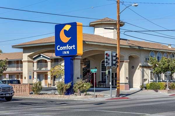 Comfort Inn Bishop