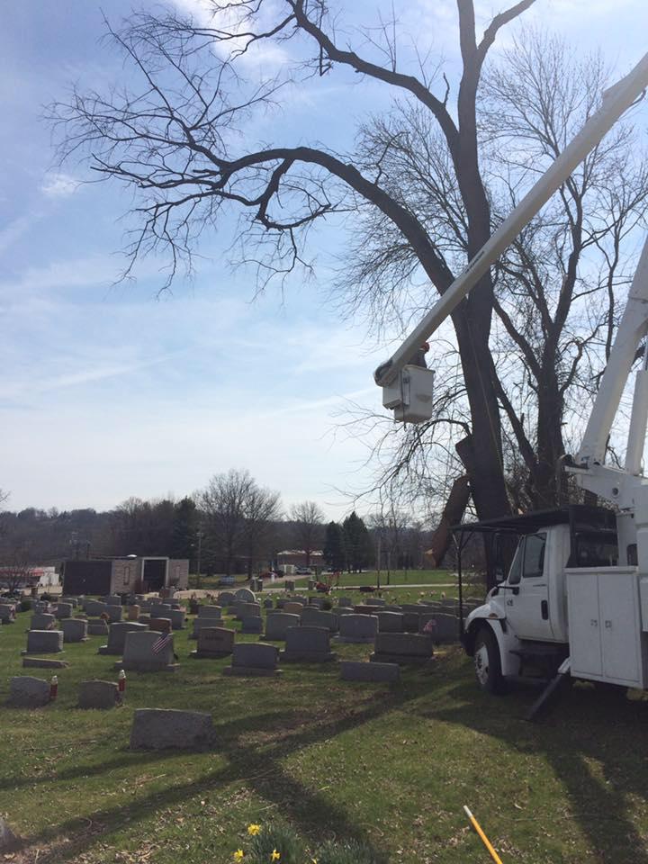 Coffey & Son Tree Service