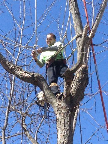 Scott's Tree And Outdoor Service