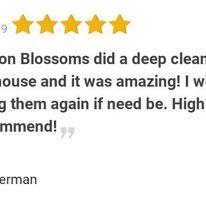 Lemon Blossom Cleaning Services