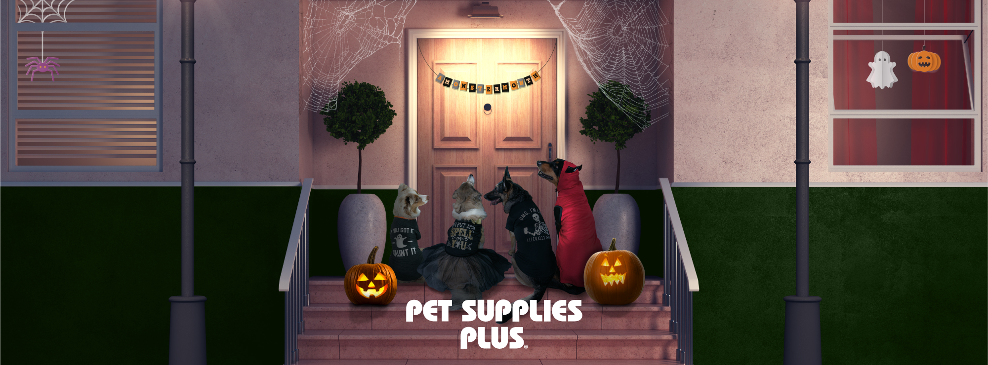 Pet Supplies Plus Stow