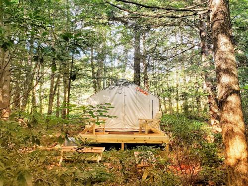 Tentrr - Living Water Campsites: Mossy Acres 1