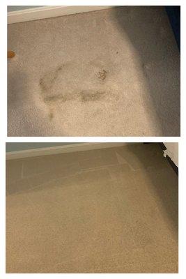 Coffee spill BEFORE & AFTER. Go away stain! Extraction is the key.