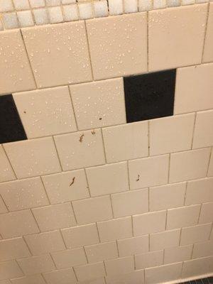 Horribly disgusting... Bloody snot on the shower walls