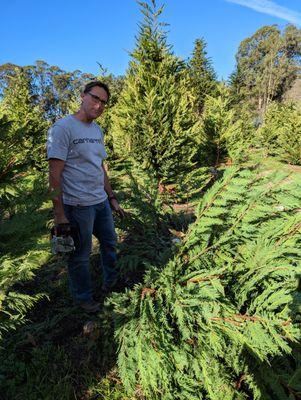 The owner, Jake, helped me cut down the tree.