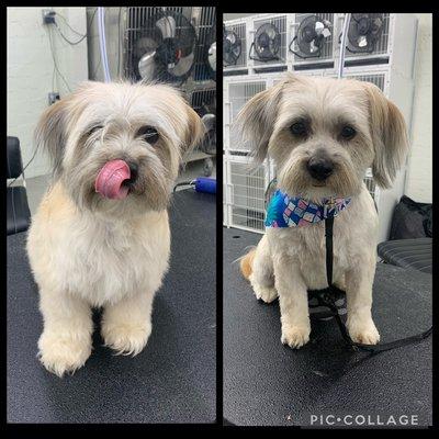 Nicole’s Pup Parlor