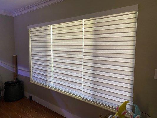 Zebra Blinds on my living room