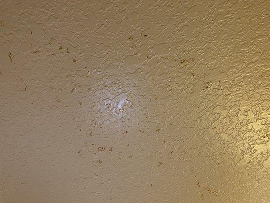 Looks like blood splatter on ceiling.