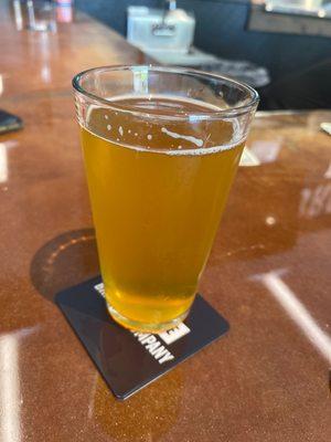 Fountainhead brewing blonde ale