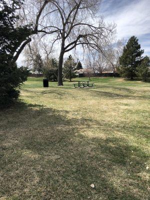 Picnic benches spread throughout.