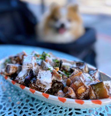 Fattet Batinjan: Fried eggplant w/ garlic yogurt sauce, pita croutons | $12 (Get this!)