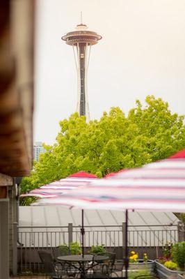 View of Space Needle