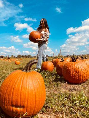 Me carrying a pumpkin