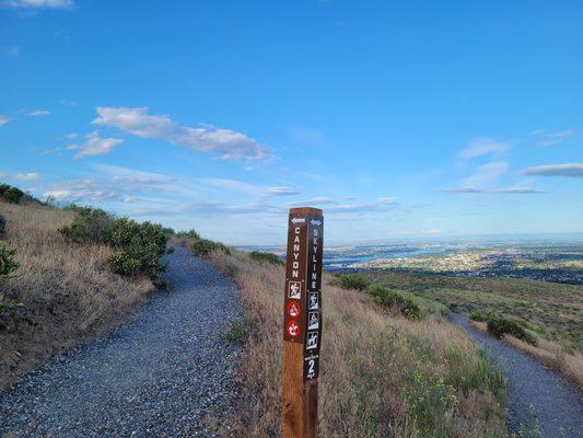 Multiple trails on Badger Mountain