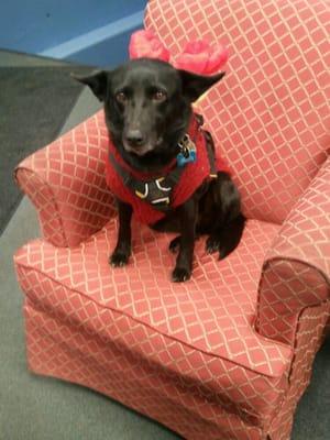 Tima in a comfy surplus chair.  The chair is for sale.  Tima isn't.