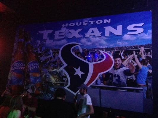 Go Texans!!