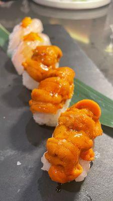 Madai & Hokkaido Uni nigiri