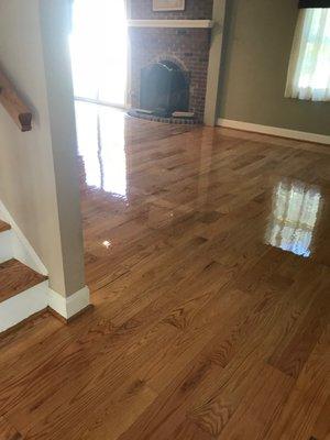 SHINY FLOOR FINISH