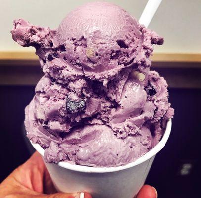 Purple Cow Frozen Yogurt