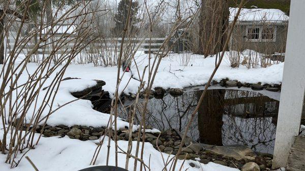 Snowy garden