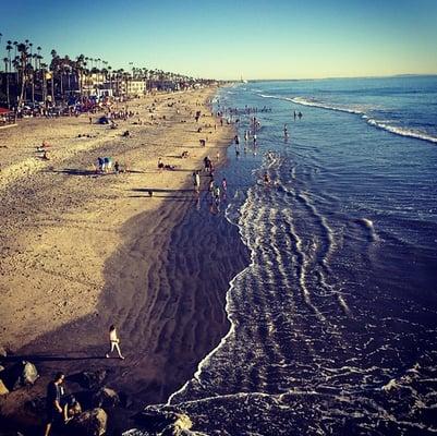 Our beautiful coastline in North San Diego