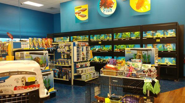 Pet Supermarket in Dilworth, Charlotte, NC