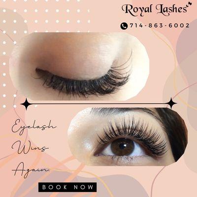 Royal Lashes