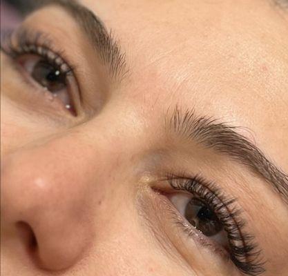 Lash Extensions