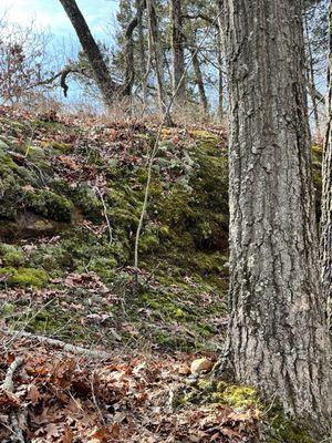 LaBarque Hills trail