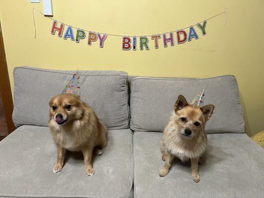 Birthday haircuts for Chase and Bentley