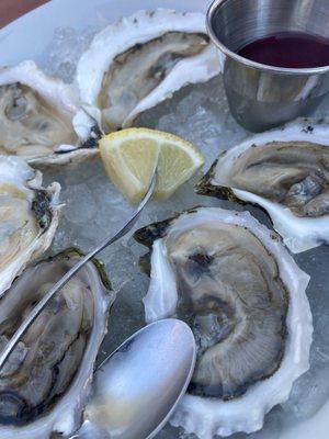 Oysters