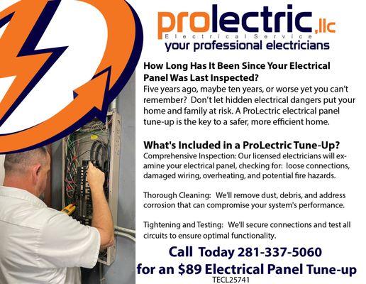 ProLectric Panel Tune Up only $89