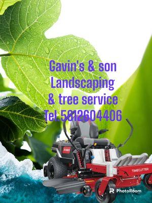 Gavin's & Son Landscaping & Tree Service