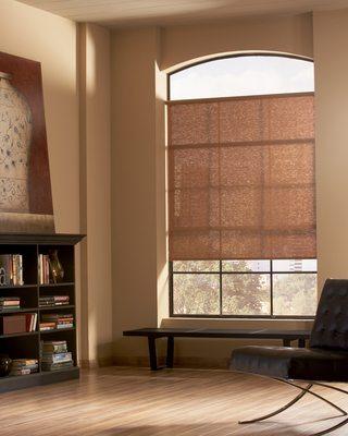 Designer Clutch  Roller Shade - Living Room