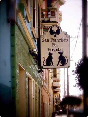 San Francisco Pet Hospital