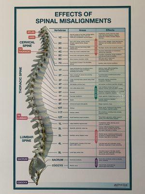 How can chiropractic help YOU?