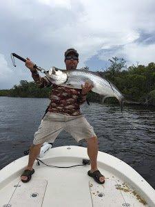 Tarpon in Bonita Springs, FL