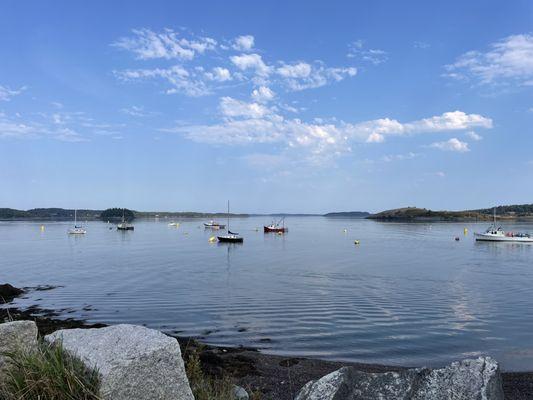 View in and around Fisherman's Wharf Lubec Maine