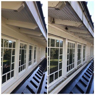 Exposed rafters crest very good habitats for bugs and organic growth! We recommended cleaning regularly!