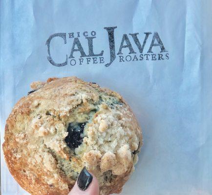 Vegan blueberry vanilla scone