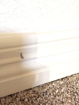 Their horrible install of my baseboards. And they refuse to refund it to get it fixed.