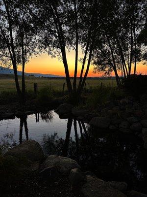 Pond at the back of the property with the sun setting in the background.